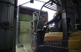 la logistica