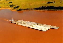 Vía Navegable Troncal