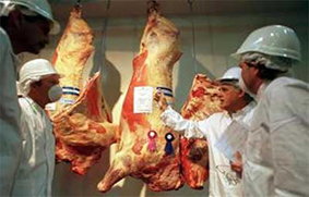 Carne-de-exportacion