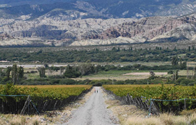 Catamarca exportaciones