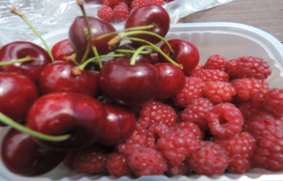 productos orgánicos