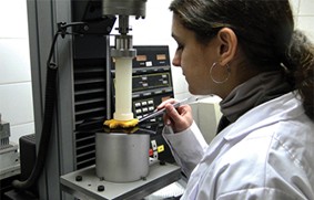 Cultivo de pacú