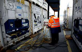 Transporte marítimo reefer