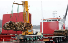 exportación de madera