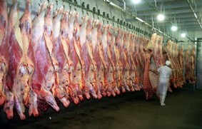 Frigorifico_Camara_Operario ch