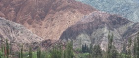 Jujuy: Fuerte proyección de desarrollo hacia el futuro