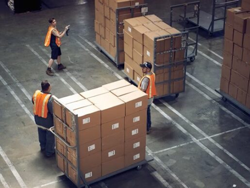 La fuerza laboral y su destreza en la supply chain