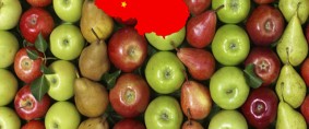 Escenario favorable para manzanas y peras en el mercado chino