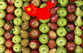 Manzanas peras china chica