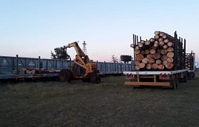 Nuevos puntos de carga