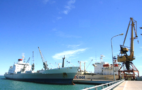 Desarrollo logístico