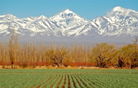 San Rafael Viñedos ch