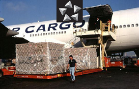 Star Alliance y Carga aerea chica