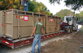 Transporte rinocerontes IAG