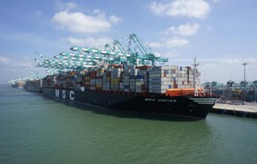 Vraios y MSC Oscar ch