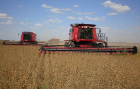 Exportadores estiman