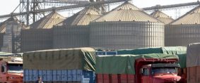 Transporte de granos: nueva tarifa orientativa de referencia