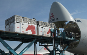 Cargolux caballos