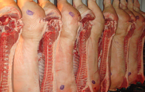 carnes de cerdo