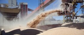 Bahía Blanca. Exportación de granos sube 19% en el primer semestre
