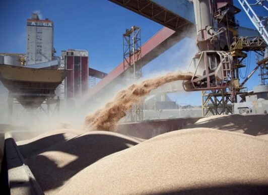 Bahía Blanca. Exportación de granos sube 19% en el primer semestre