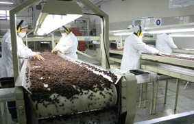 pasas_de_uvas-San-Juan