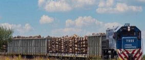 Trenes Argentinos Cargas. Más toneladas transportadas