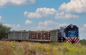 trenes argentinos cargas