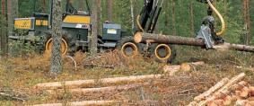 Pymes forestales estudian medidas para bajar costos logísticos 