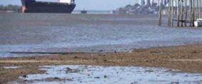 La bajante del Paraná suma presión a la exportación